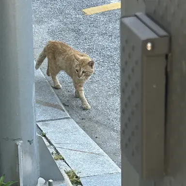 Profile image of 재윤