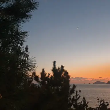 Profile image of 화난 평학넴