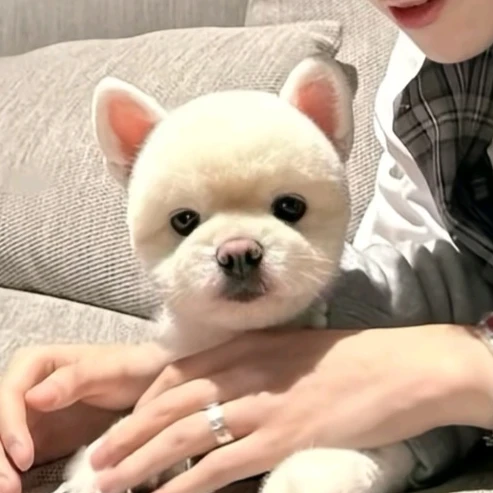 이상혁