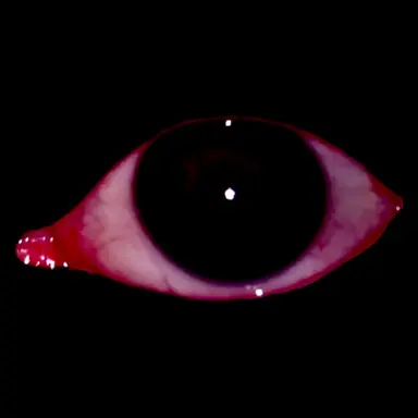Profile image of D.