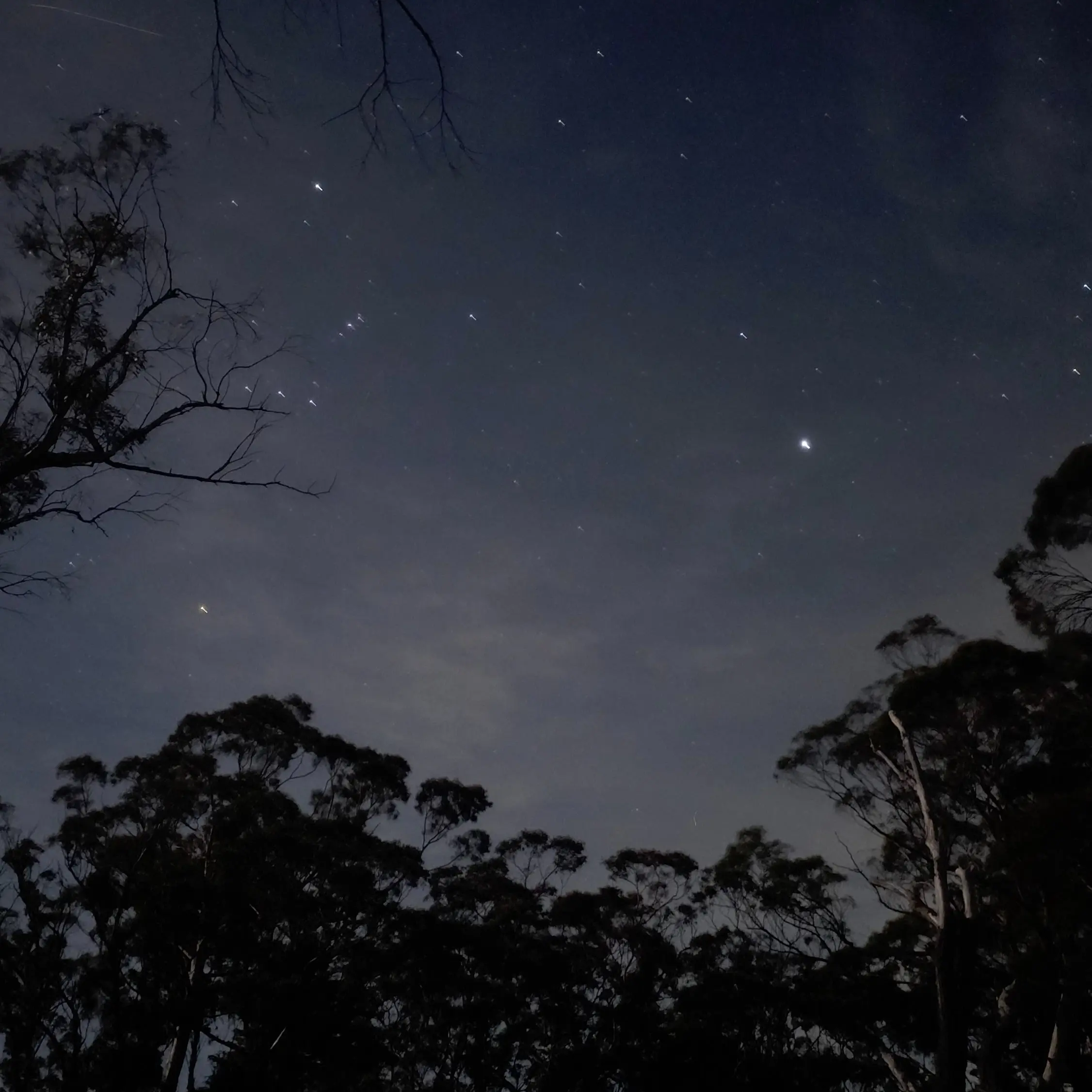 seion_2025의 도망