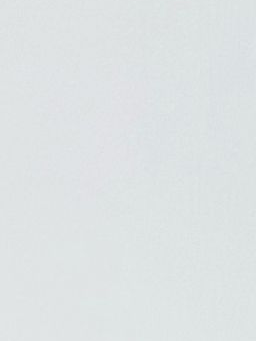 황현진 대표 이미지