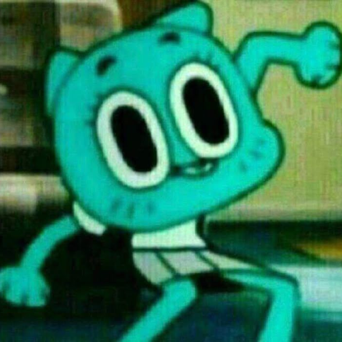 검볼 가족 대표 이미지