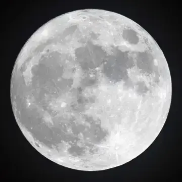 Profile image of アルテミス