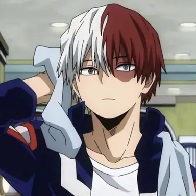 Profile image of Shoto Todoroki