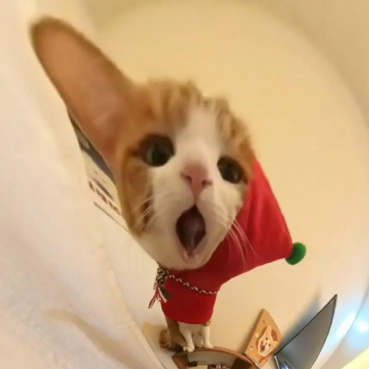 OddTuna0492의 야물딱