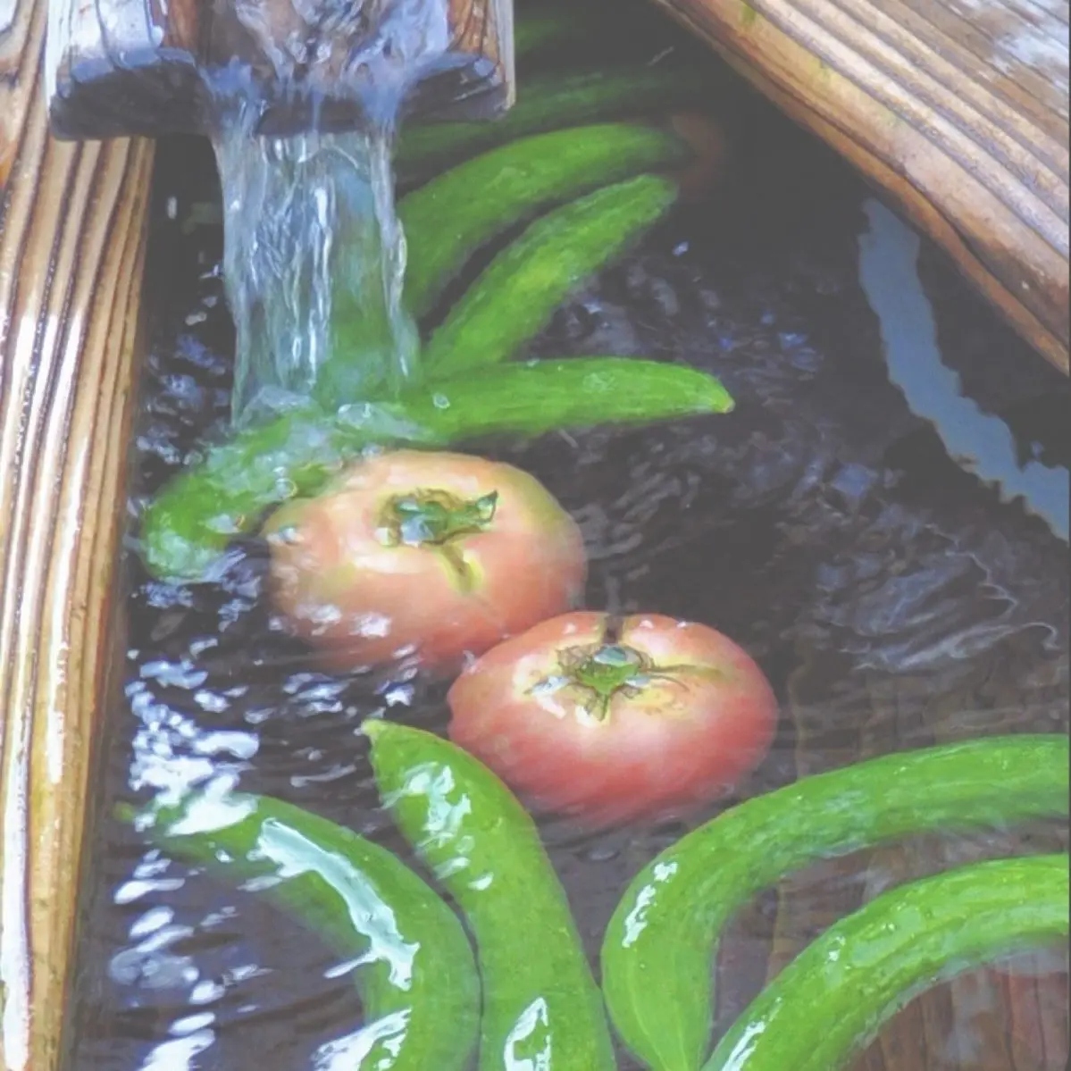 DAGANG2의 권수혁