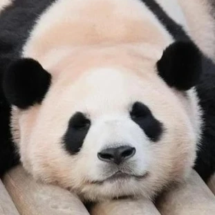 푸바옹