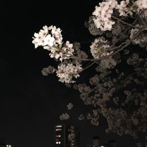 . 대표 이미지