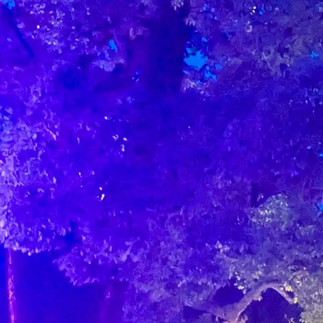 MartyrOlive1178의 慶彦くん