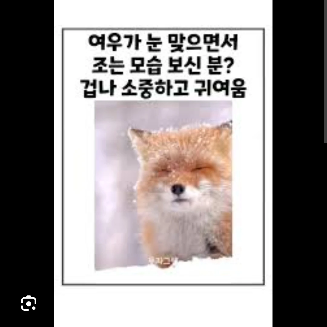 박여우