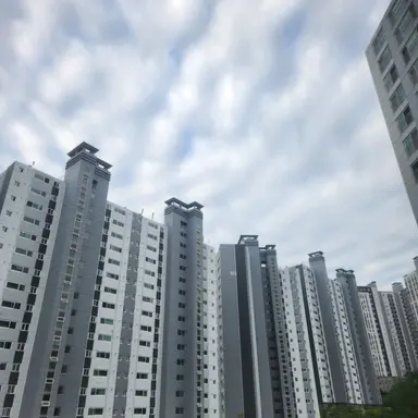 Profile image of 우유참치