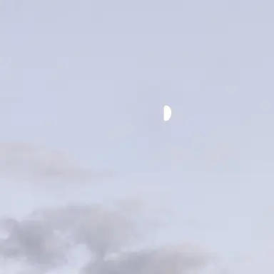 Profile image of 멜로우