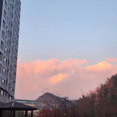 Profile image of 밥풀