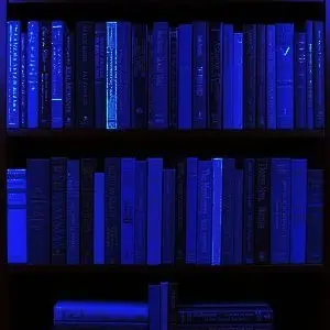 True_love_always_win의 분리불안 대형견 이반