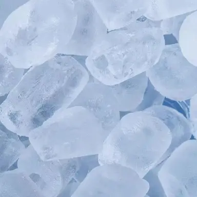 Profile image of 篠崎レイ