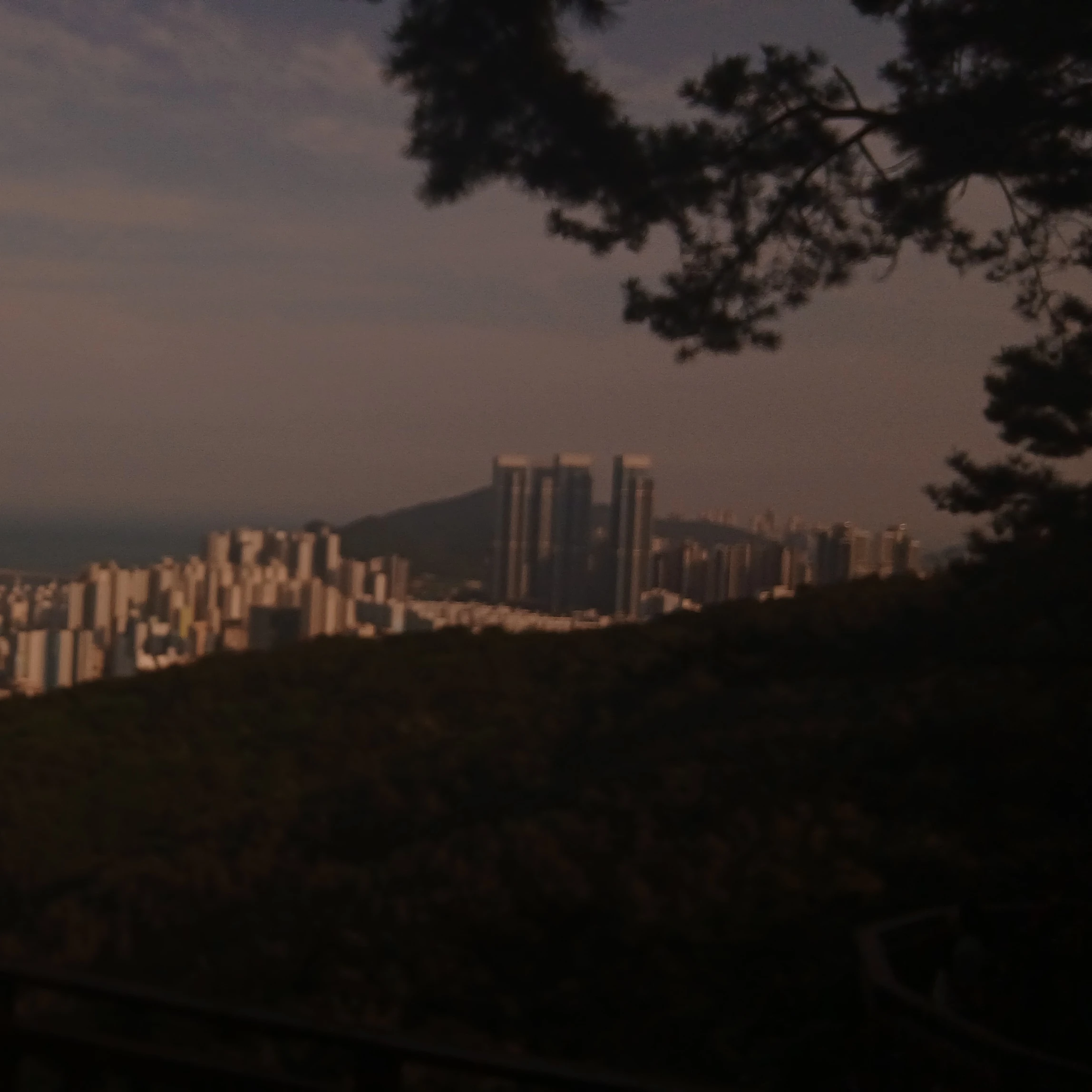 윤성아