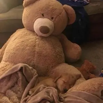 Profile image of 슈론