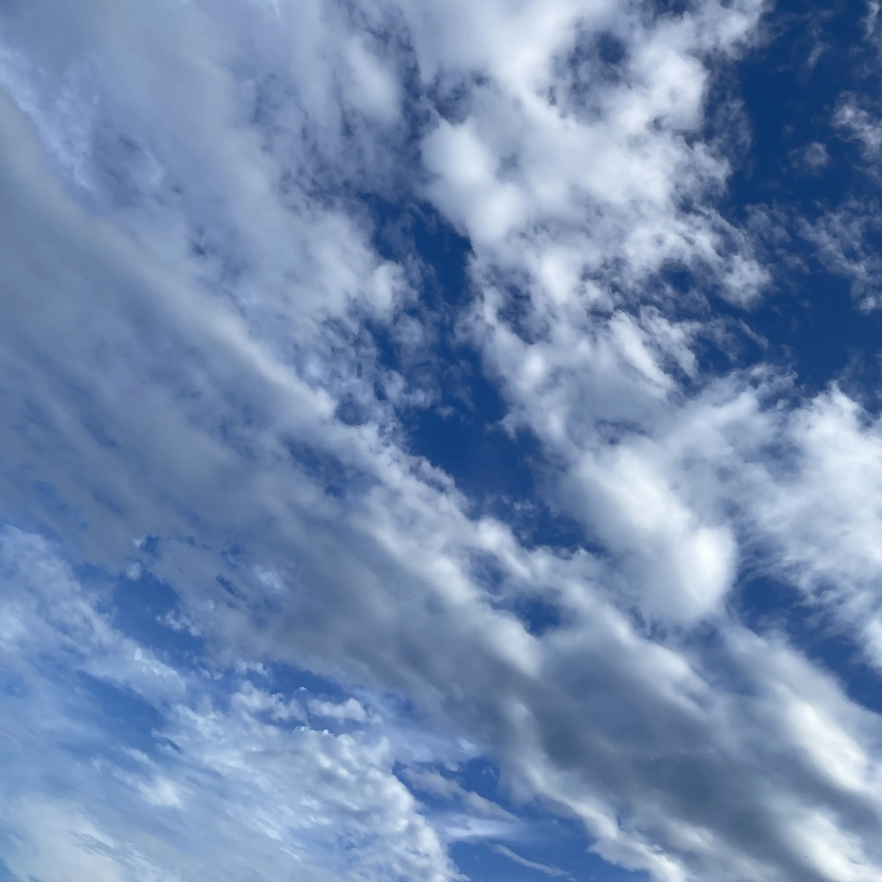 SubtleVideo1374의 김승민