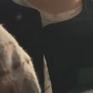 likehao의 장하오