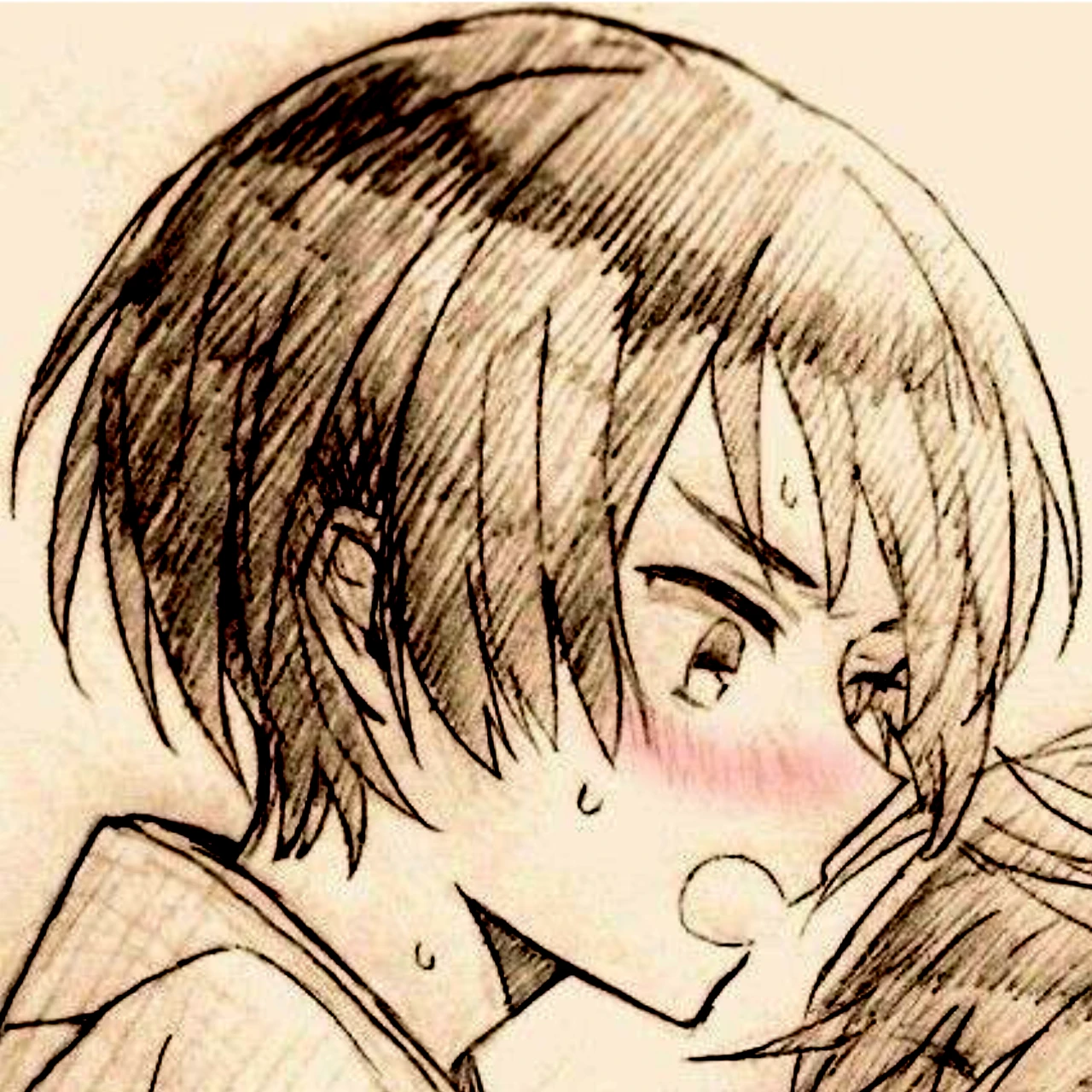 菊