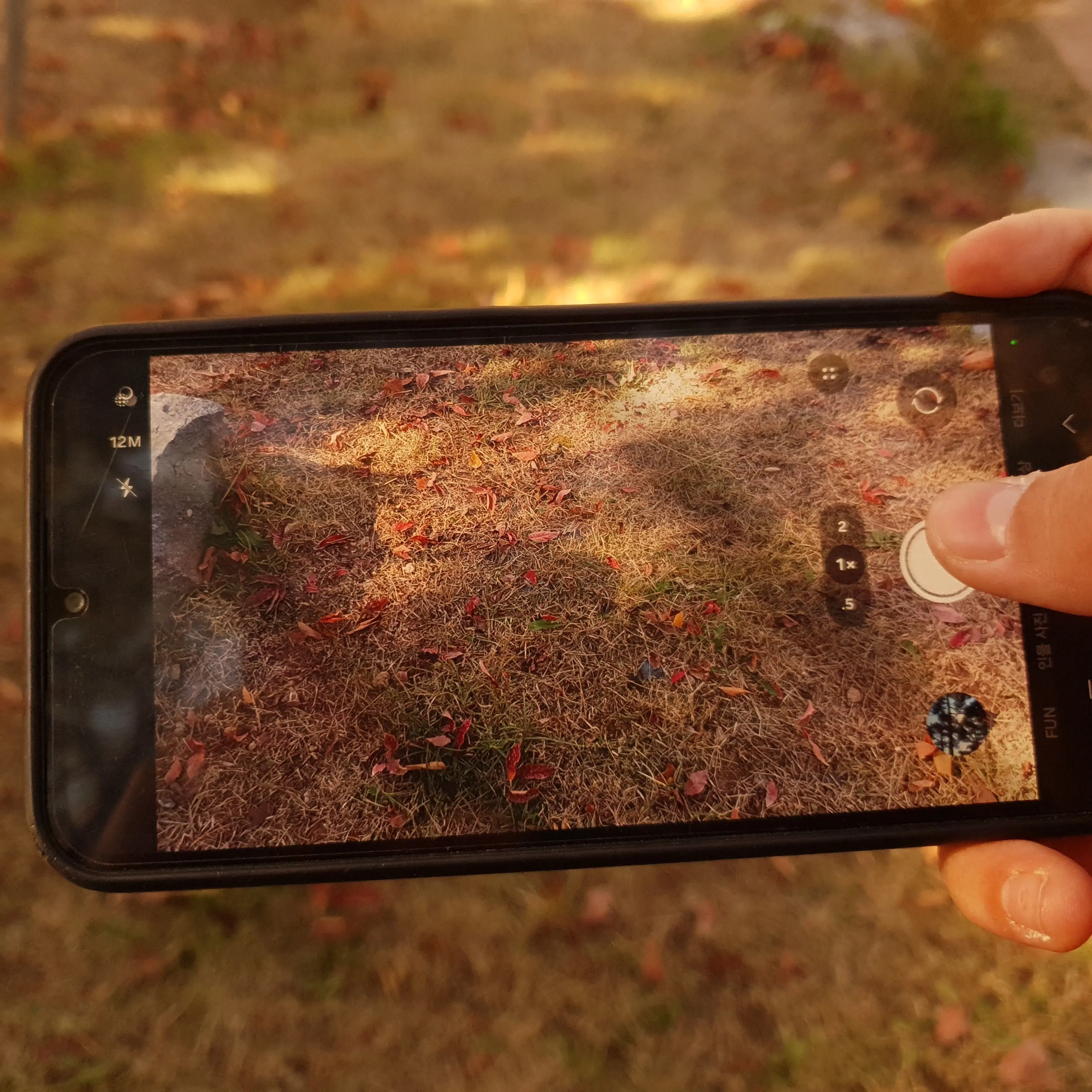 Vwyevwueidhysishw의 당신을 납치한 뜰팁