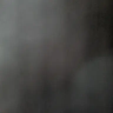 Profile image of セミ