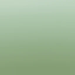 황수현
