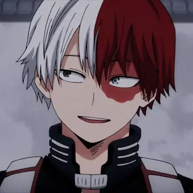 Profile image of Todoroki