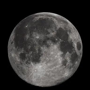 Profile image of シューヤ
