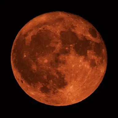 Profile image of ハル