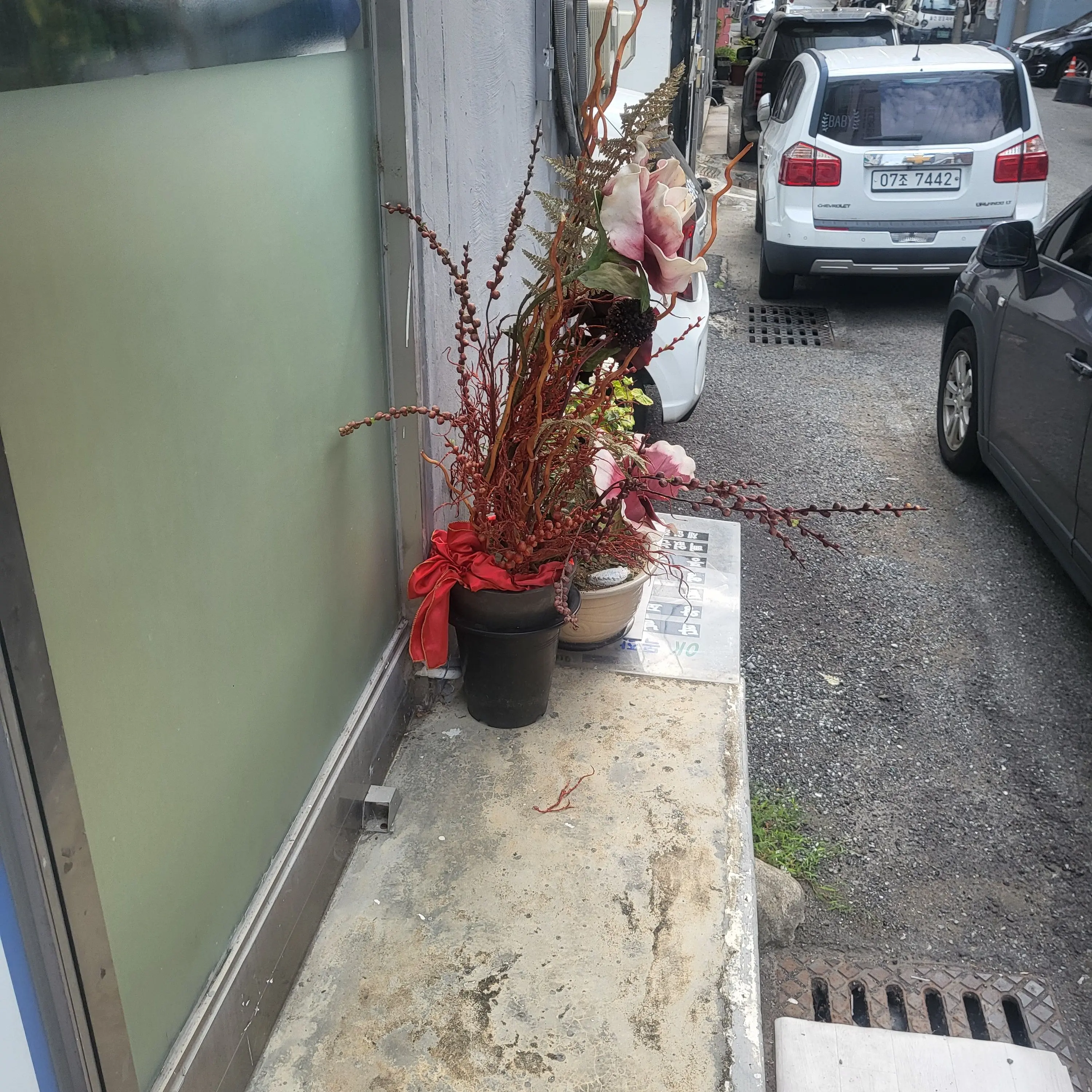 MurkyBerry3364의 아이브 에스파 엔믹스 초능력 여우