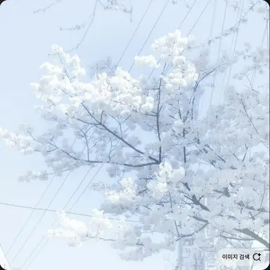 Profile image of 강리아