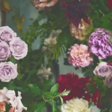 FierceSatin1634의 EBiDAN病院