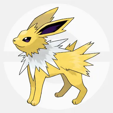 Profile image of サンダース