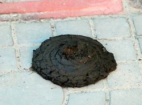 Profile image of 변기통패밀리