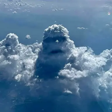 Profile image of 변기통패밀리