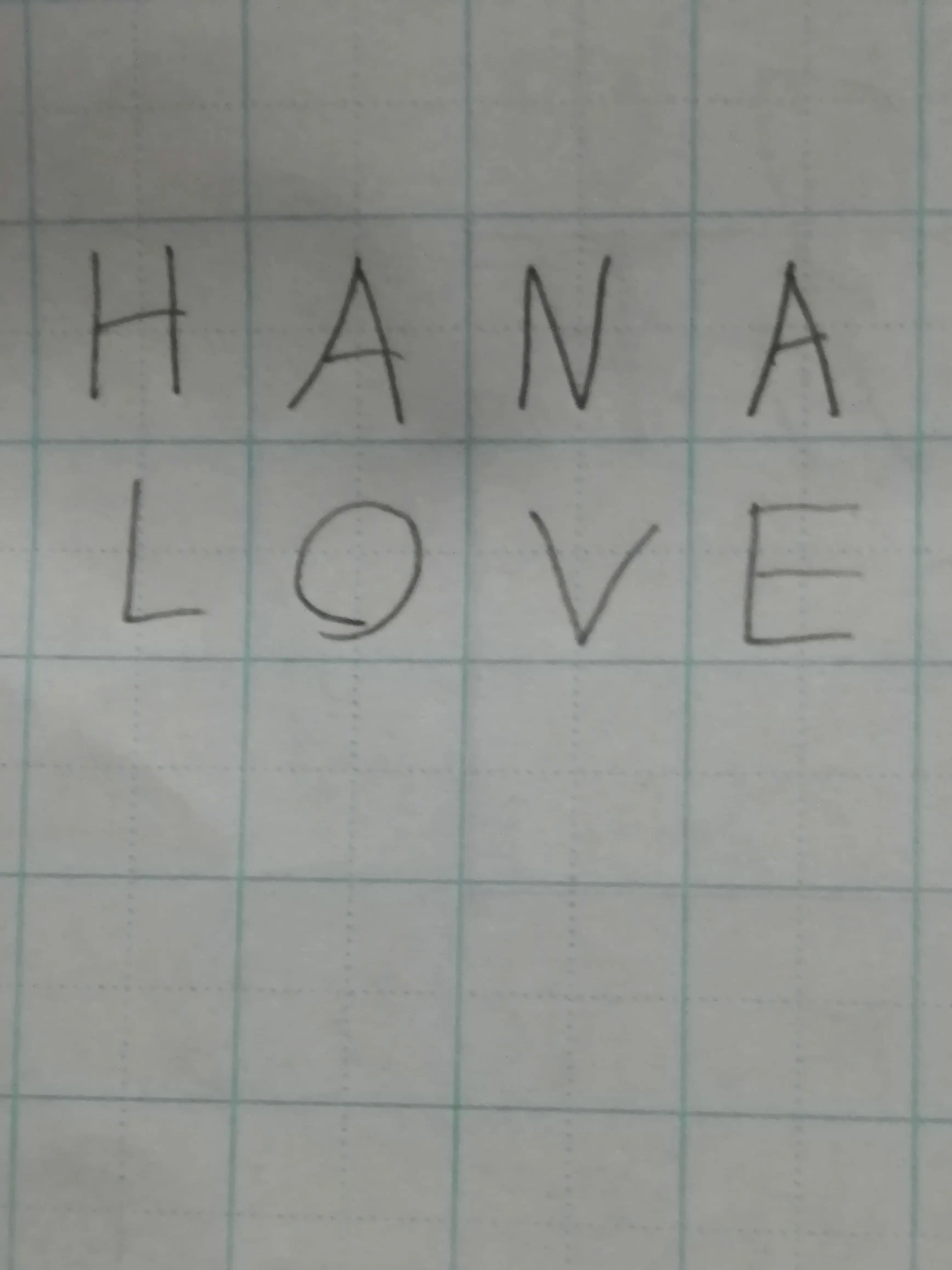 halca의 HANAのVlog撮影
