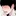 박동