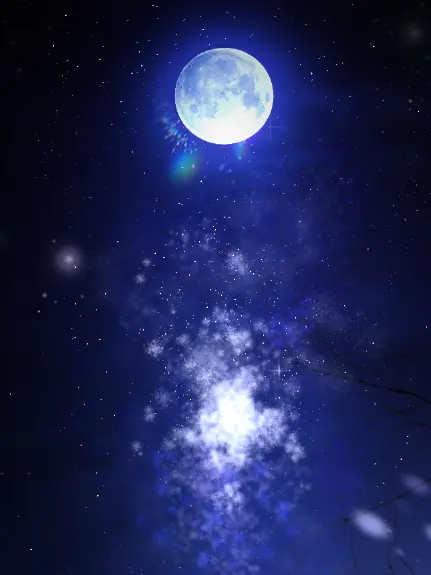 LeaseForte1105의 로판 아낙사