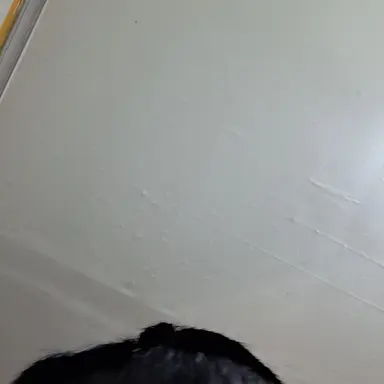 Profile image of 수많은 토일렛