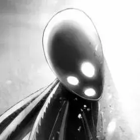 Profile image of 게르간 슈프