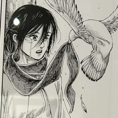 Profile image of ミカサ