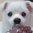 마루