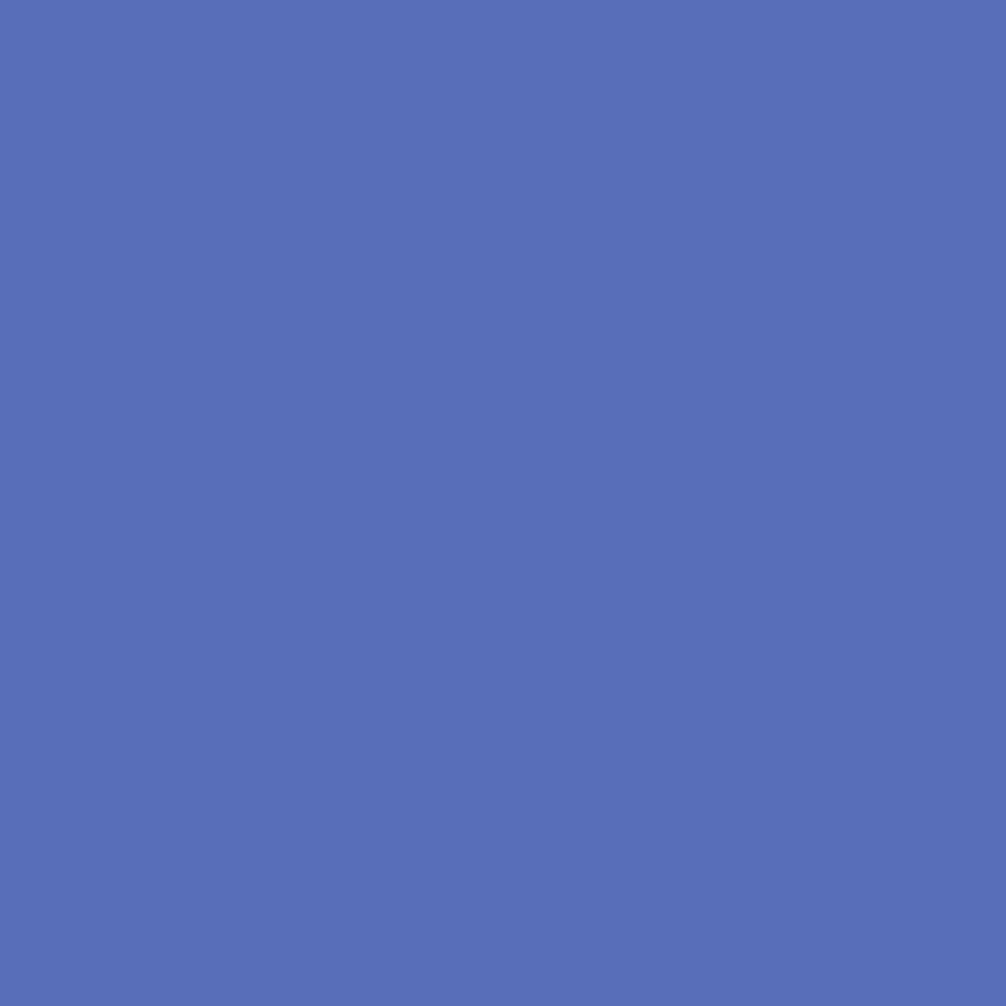FishyBraid5458의 파이브