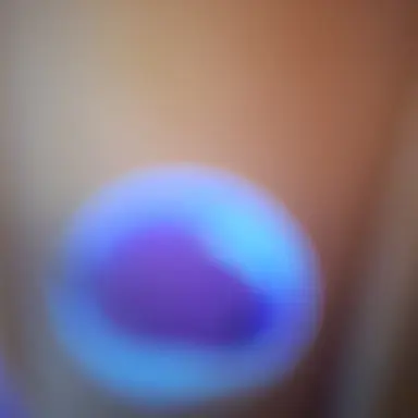 Profile image of 버블