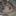 장태하