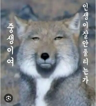 Profile image of 일여문