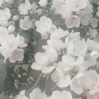 Profile image of 야마나카 쥬타로