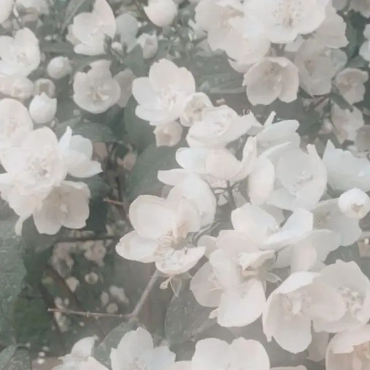 Shu_8.tkr_6의 딸이 남동생을 갖고 싶대요.
